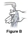 Figure B