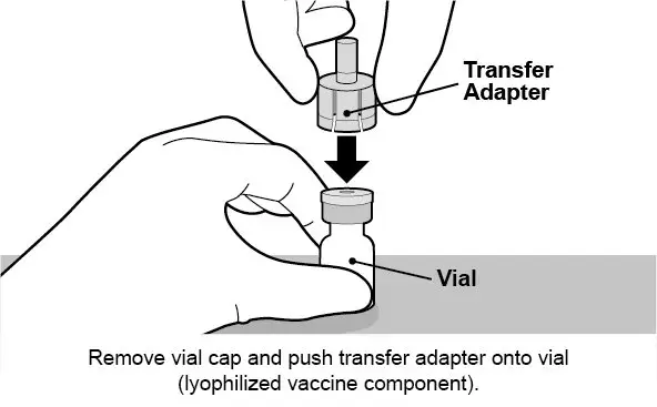 Remove vial cap and push transfer adapter onto vial (lyophilized vaccine).