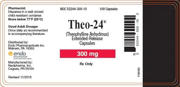 PRINCIPAL DISPLAY PANEL - 300 mg Bottle Label