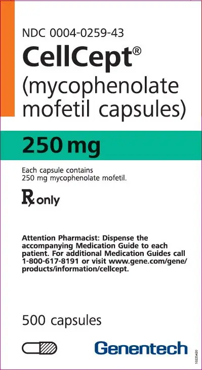 PRINCIPAL DISPLAY PANEL - 250 mg Capsule Bottle Carton