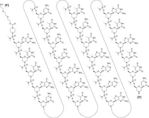 Structure of Golodirsen
