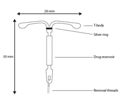 Skyle Fig 10