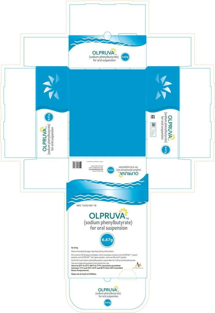 Principal Display Panel -  6.67 g Carton Label
