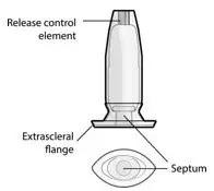 Figure 31