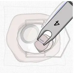 Figure 28