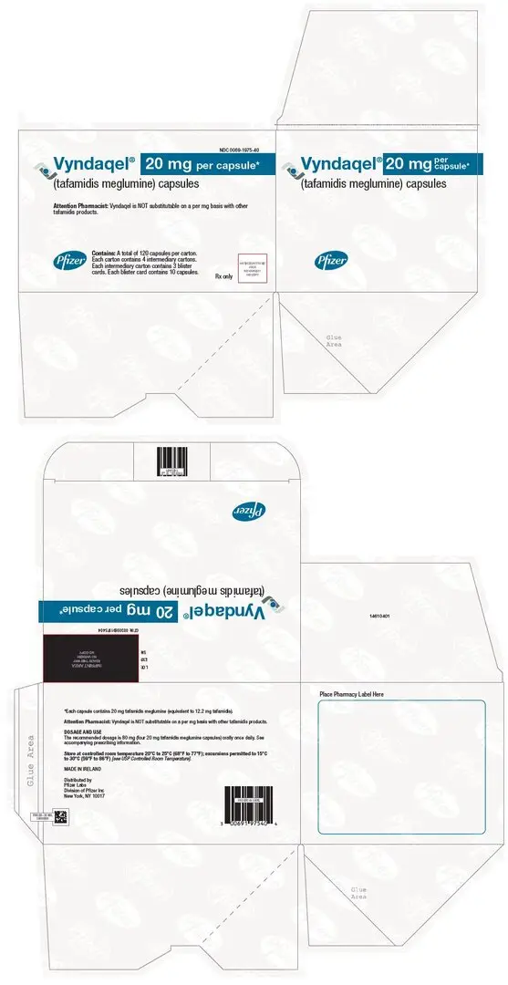 PRINCIPAL DISPLAY PANEL - 20 mg Capsule Blister Card Carton Carton