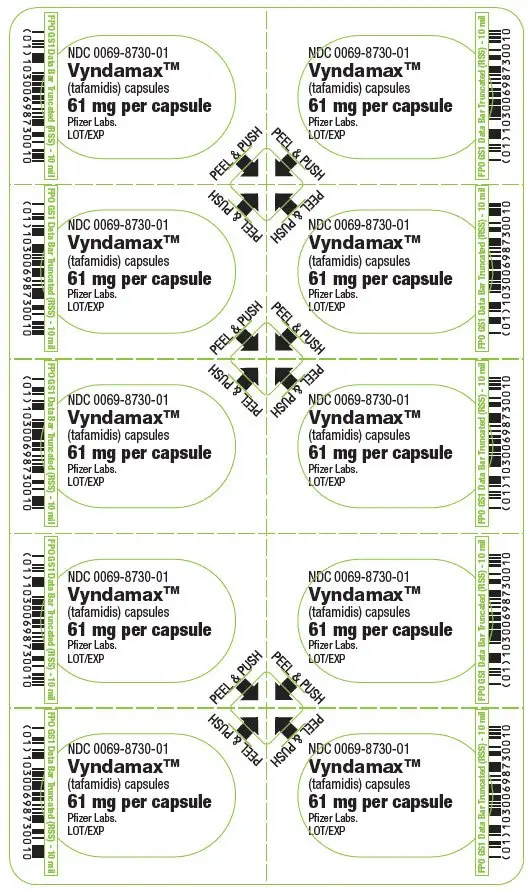 PRINCIPAL DISPLAY PANEL - 61 mg Capsule Blister Card