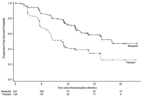 Figure 1. Progression-Free Survival in Patients with HR-Deficient Tumors (Intent-to-Treat Population, n = 373)