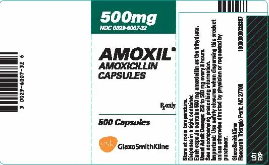 AMOXIL Capsules Label - 500mg