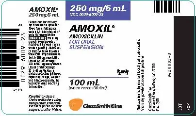AMOXIL Oral Suspension Label - 250mg/5mL