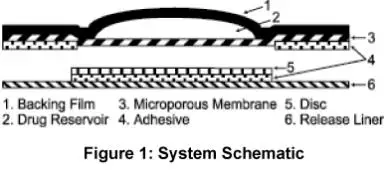 Figure 1: System Schematic