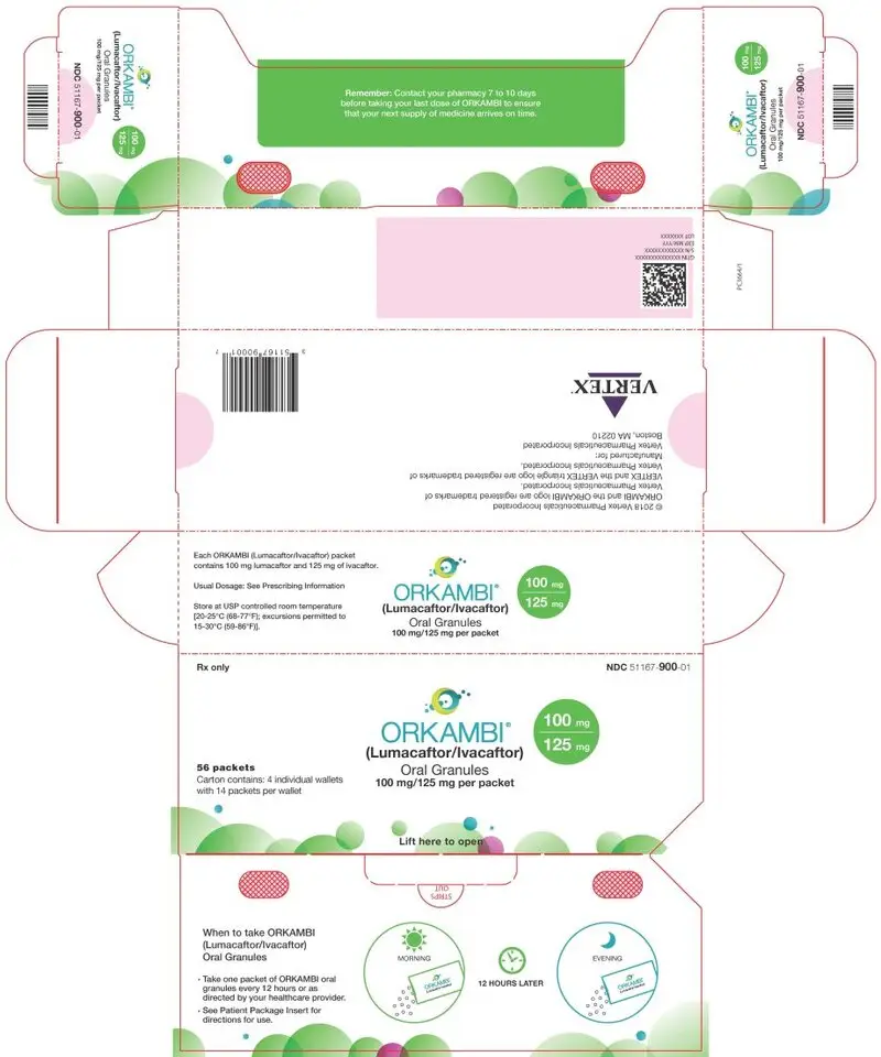 PRINCIPAL DISPLAY PANEL - 100 mg/125 mg packet Carton