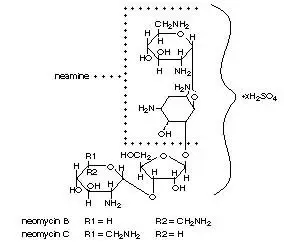  Neomycin Sulfate (structural formula)