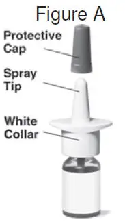 Figure A - Budesonide bottle displaying protective cap, spray tip and white collar