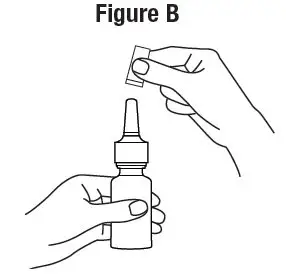 figure-b.jpg