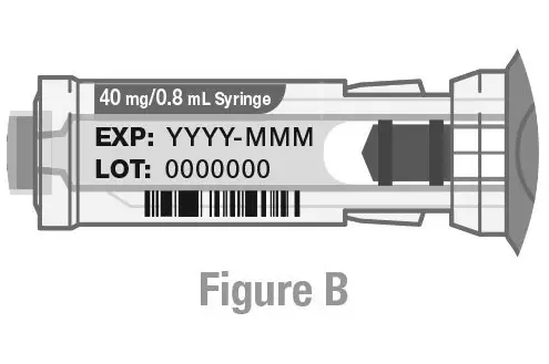 Syringe Instructions for Use Figure B