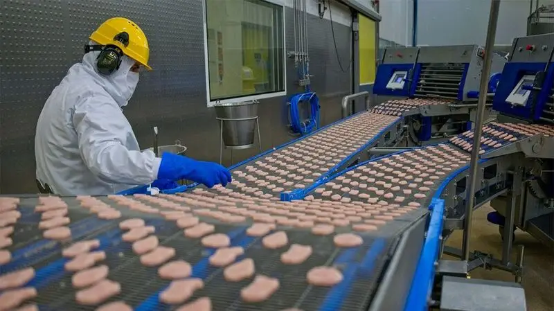 A worker checks chicken nuggets on a conveyor belt a food processing factory