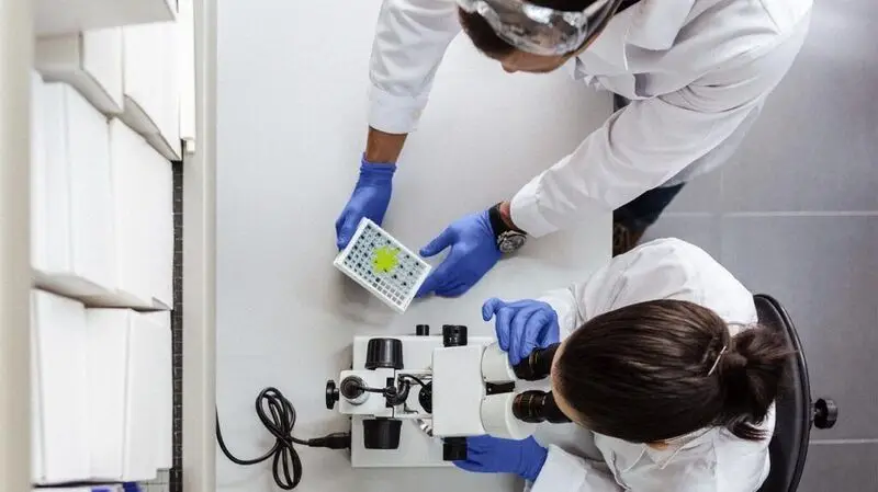 Medical professionals use a microscope to examine blood samples