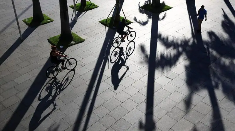 Shadows of trees and people on bicycles outdoor