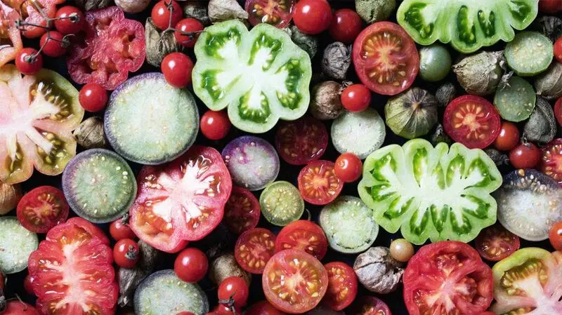 An array of different types of tomatoes cut open to show their insides and colors