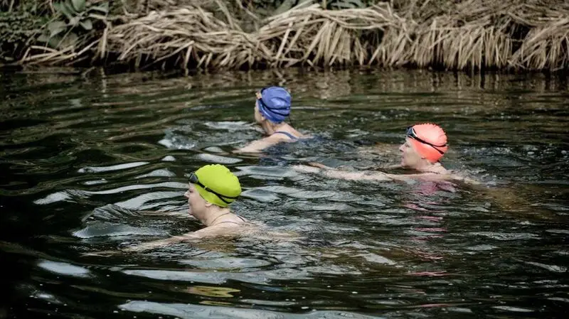 Three women wearing different colored bathing caps swim in a river