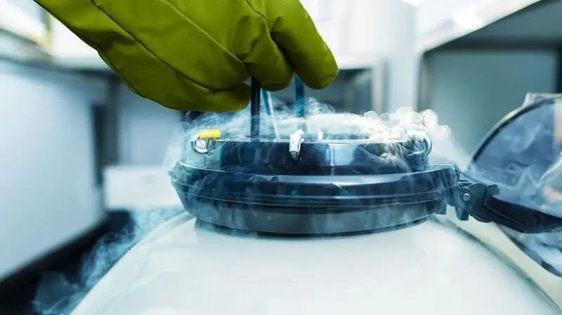 A close-up of a gadget used to freeze ovarian tissue in a lab.