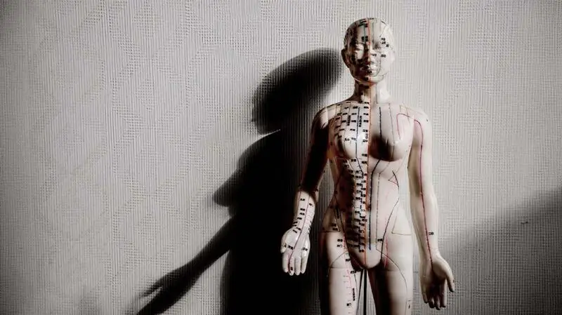 A human body model showing acupuncture pressure spots.