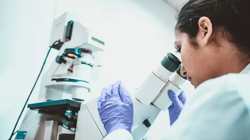 A cancer researcher peers into a microscope