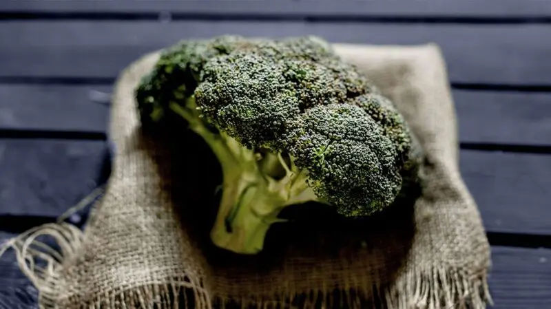 A piece of broccoli on a cloth on a flat surface