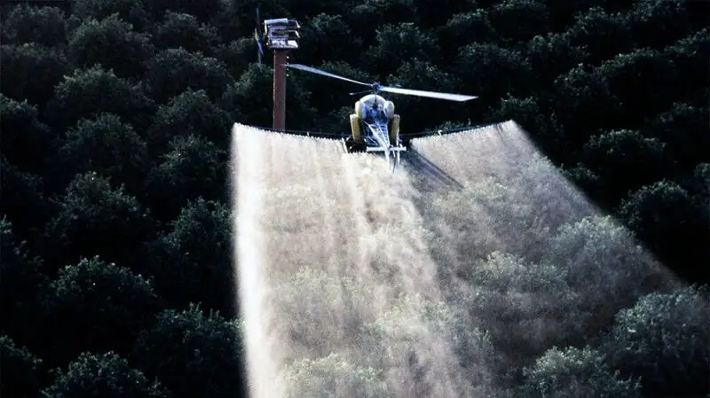 A helicopter crop spraying an orange grove with pesticides