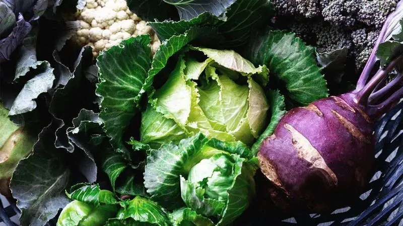 Various types of cabbage, and cauliflower, all sources of folate, in a basket