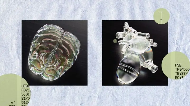 collage showing glass brain and glass heart