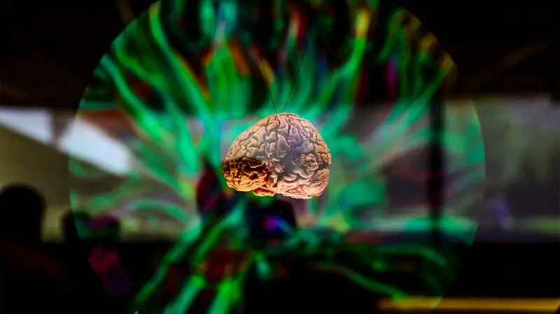 multicolored digital illustration of brain