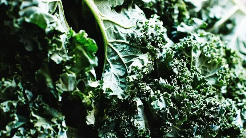 close-up of kale leaves