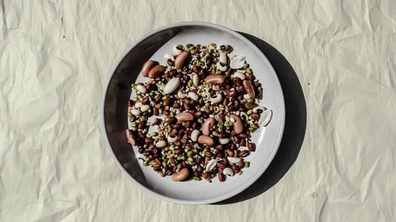 A ceramic plate full of legumes such as kidney beans, mung beans, and cannellini beans, as a source of plant based protein.