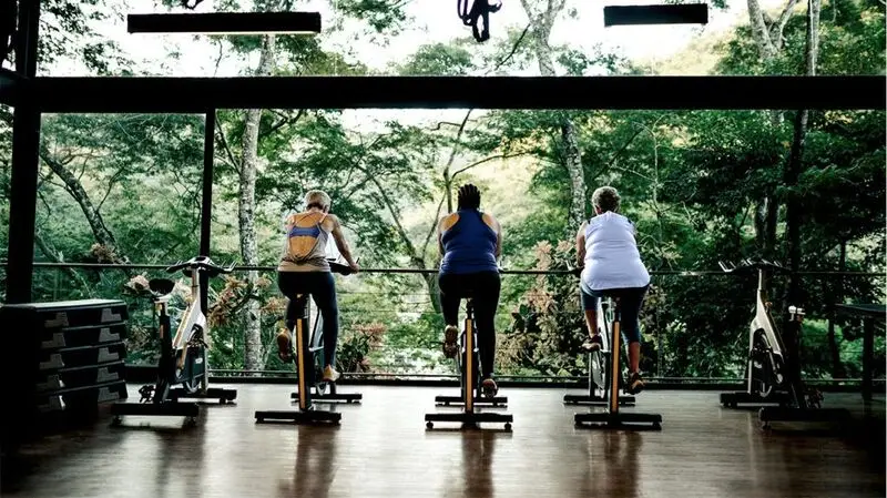 three women on stationary bikes, seen from behind, facing a large window overlooking trees