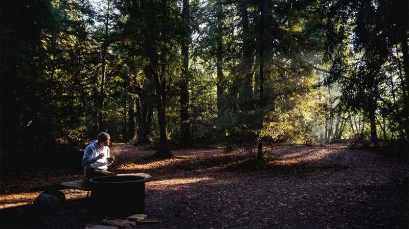 man eating in a forest at dusk