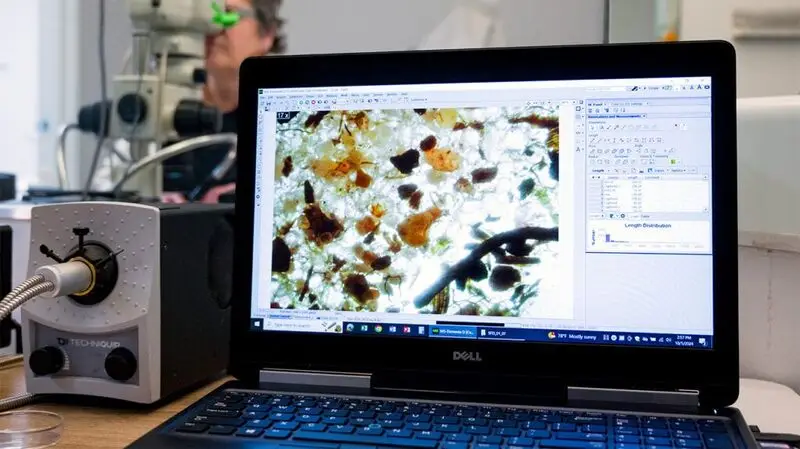 computer screen showing polluted sediment sample