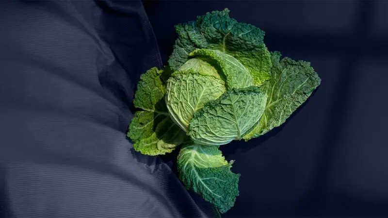 A head of cabbage against a dark backdrop, showcasing a source of vitamin K
