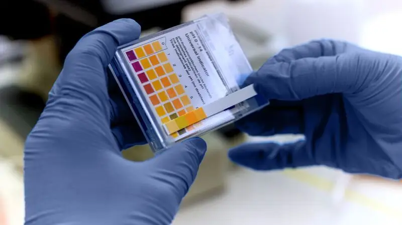 A person doing a ph test with a sample of urine holding a dipstick with gloved hands