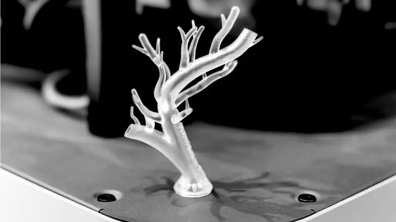A 3D printed model of the heart's aorta and arteries