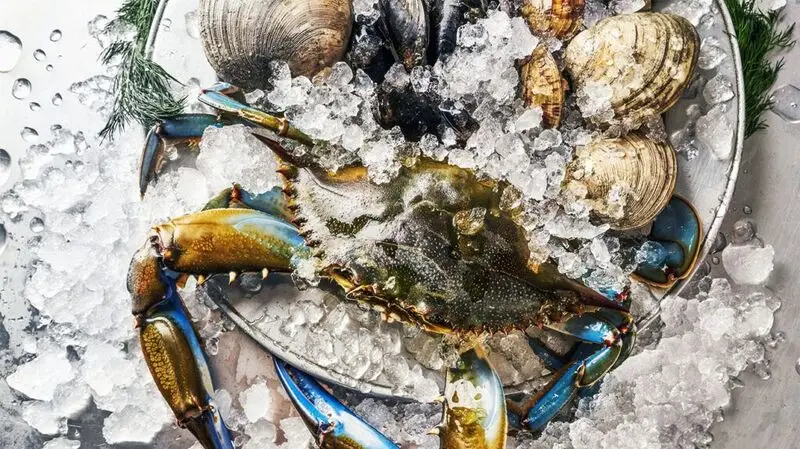 A close-up of crabs and shellfish on ice, great sources of dietary copper
