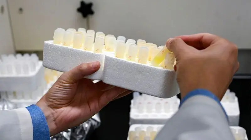 researcher's hands picking small tube samples in lab