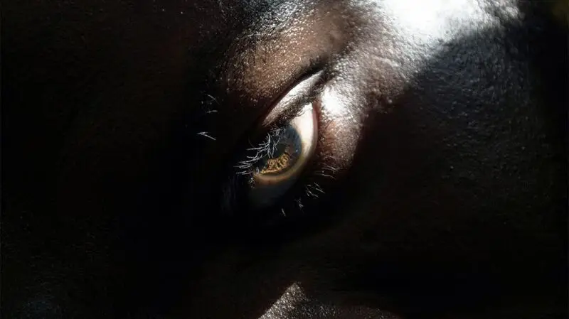 A close up of a man's eye