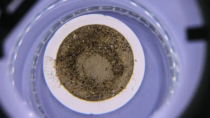 microplastic particles