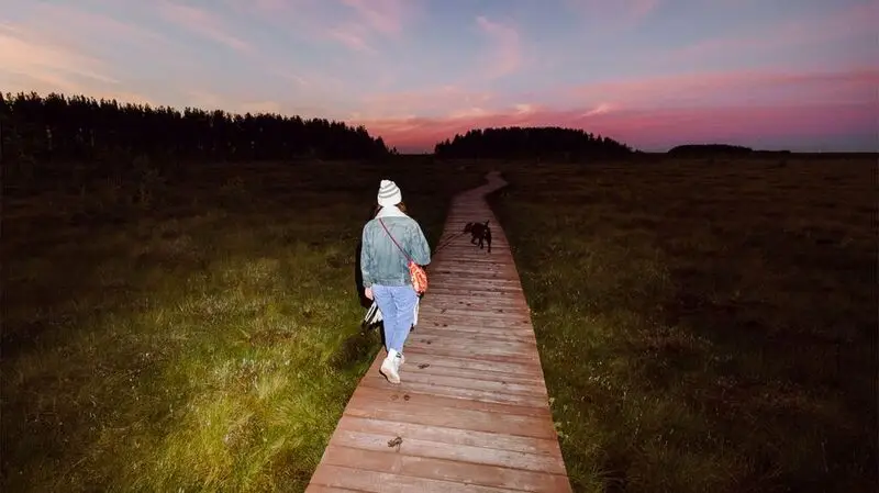 A person takes their dog for a walk in the mountains on a wooden plank pathway