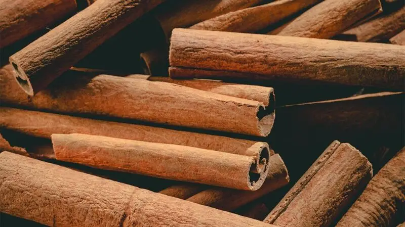 cinnamon sticks