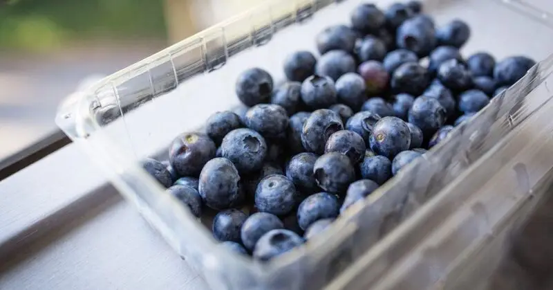 tub of blueberries