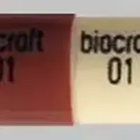 Amoxicillin (Amoxicillin)-biocraft 01-250 MG-Yellow / Brown-Capsule-shape