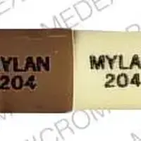 Amoxicillin (Amoxicillin)-MYLAN 204 MYLAN 204-250 mg-Brown & Yellow-Capsule-shape